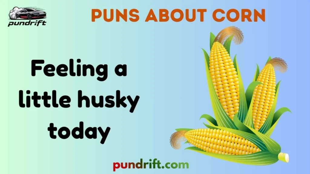 One-Liner Corn Jokes
