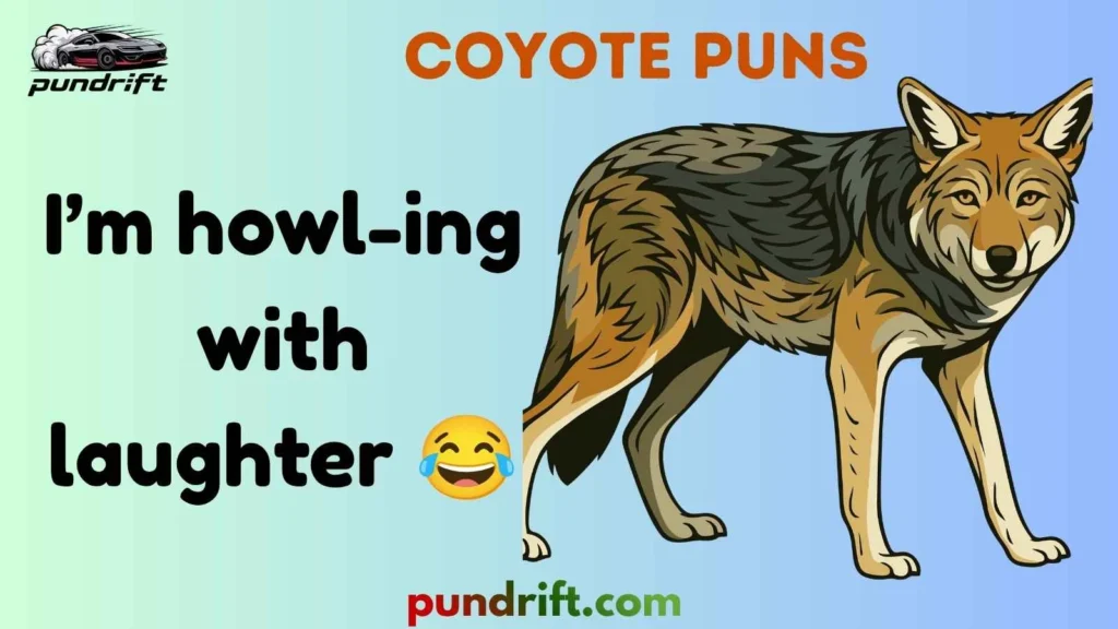 One-Liner Coyote Jokes