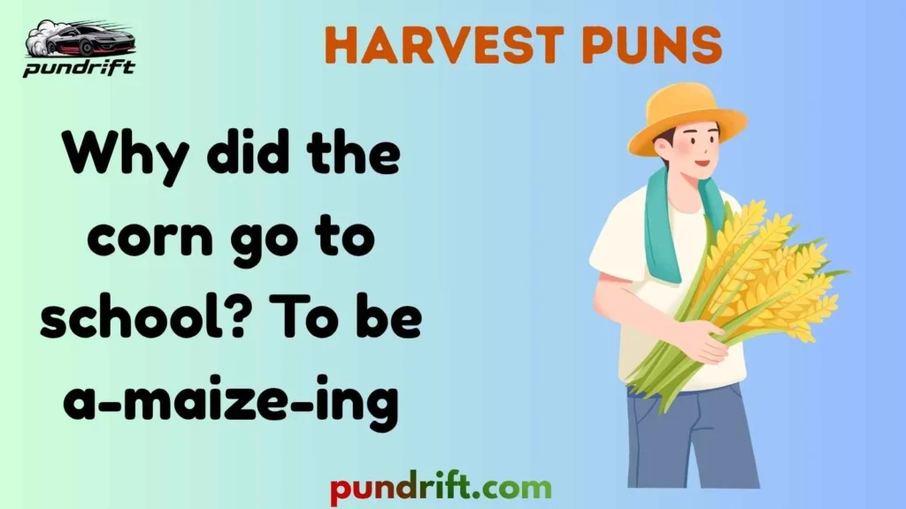 One-Liner Harvest Jokes