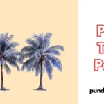 Palm Tree Puns
