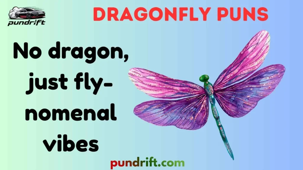 Short Dragonfly Puns for Instagram