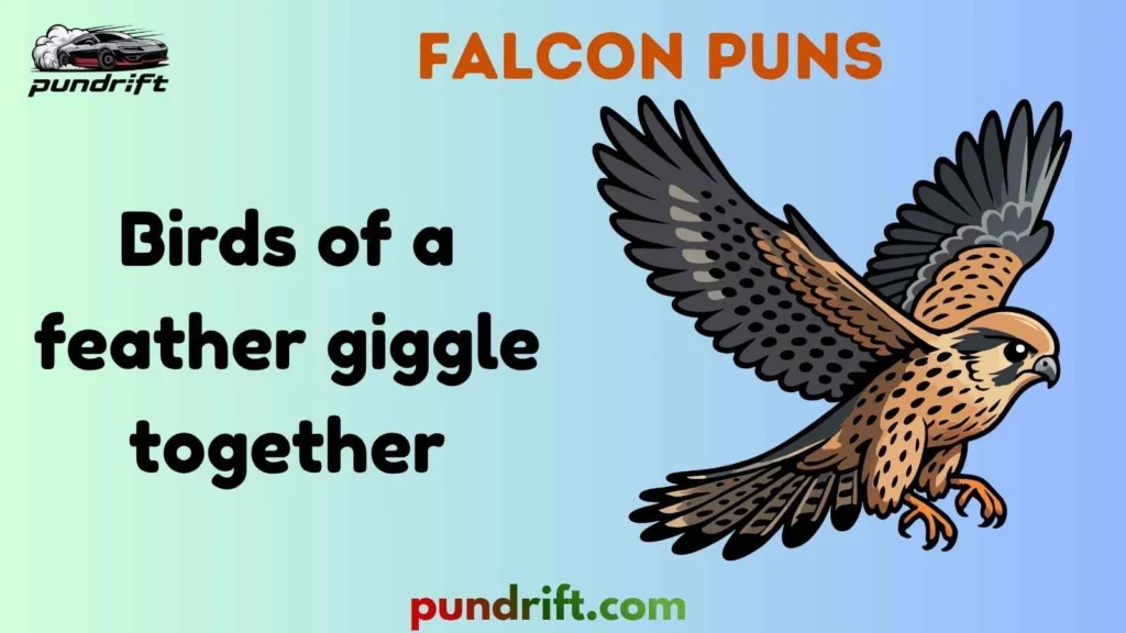 Short Falcon Puns for Instagram