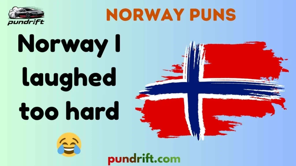 Short Norway Puns for Instagram