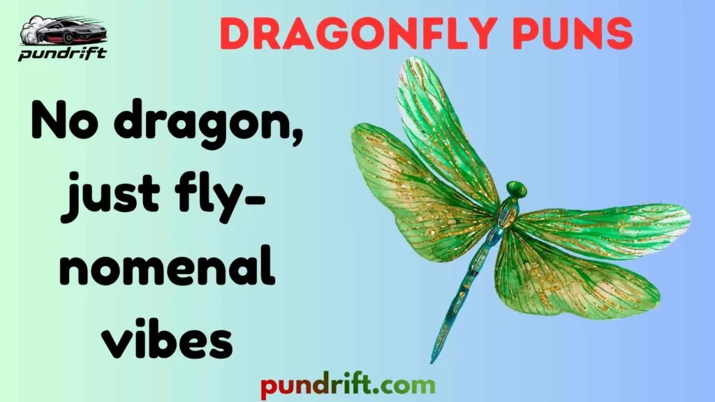 Silly Dragonfly Puns
