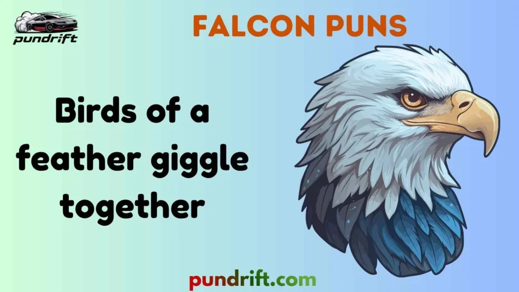Silly Falcon Puns