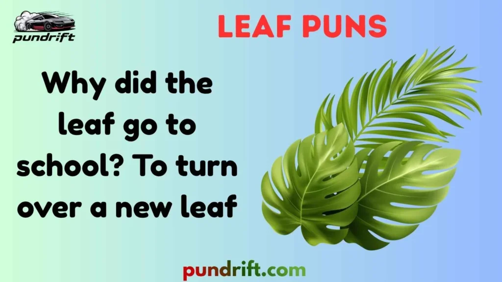 Silly Fall Leaf Puns
