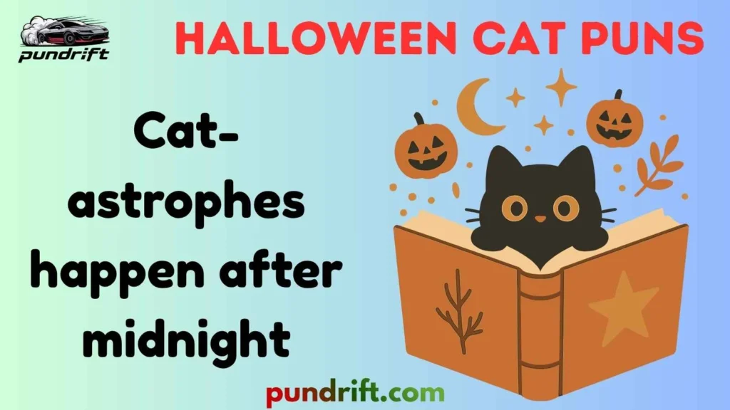 Silly halloween cat puns