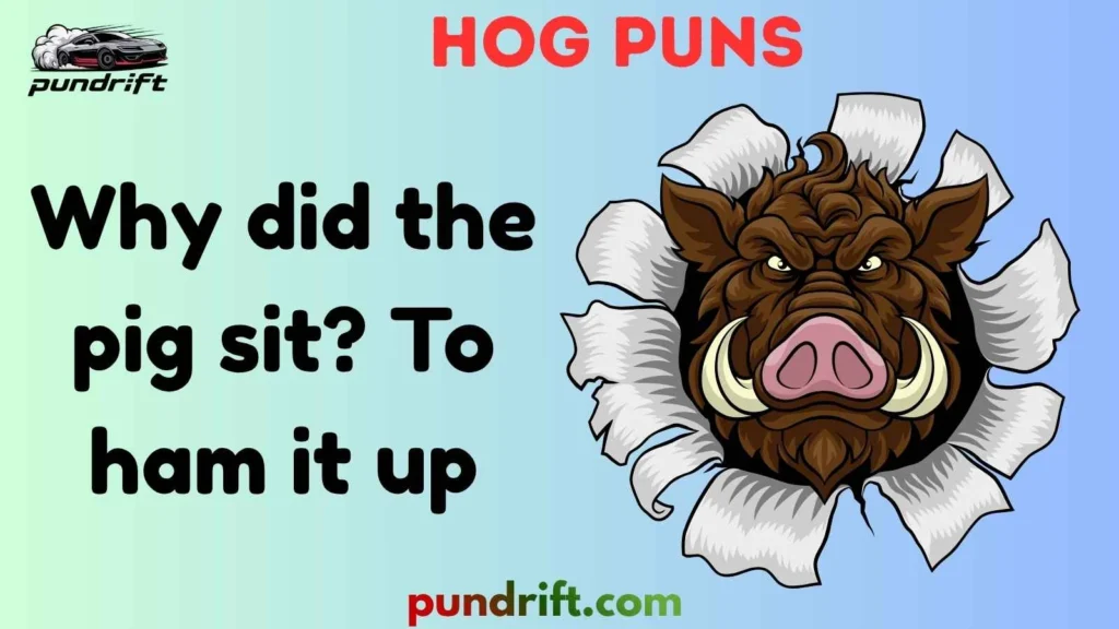 Silly Hog Puns