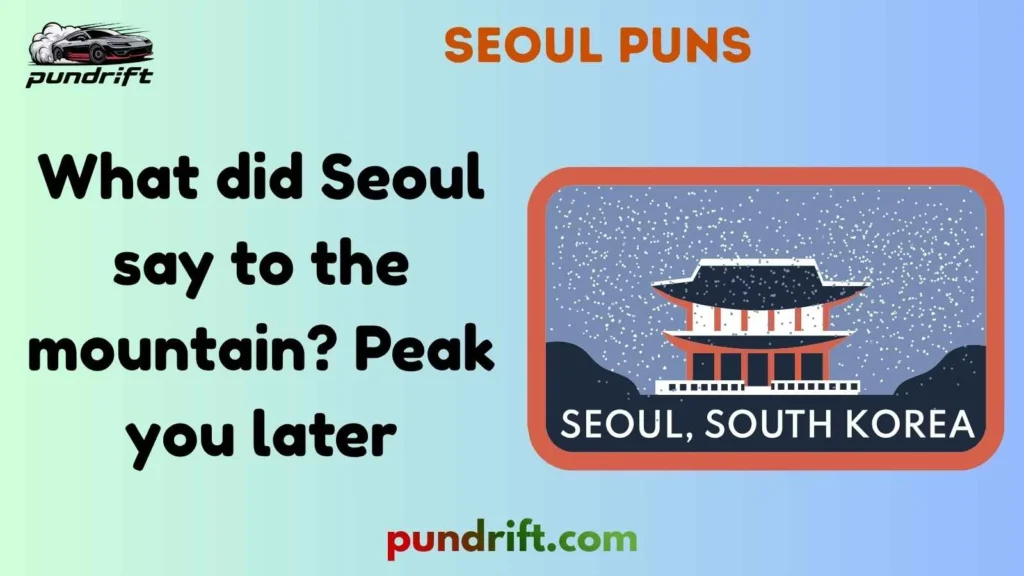 Silly Seoul Puns