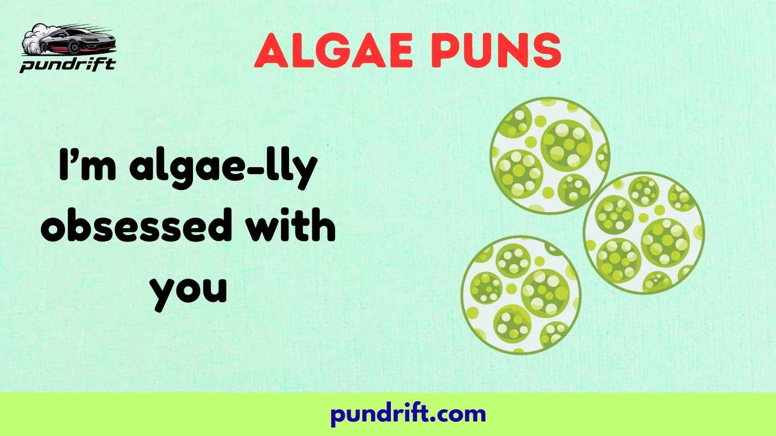 Algae Puns