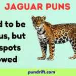 Jaguar Puns