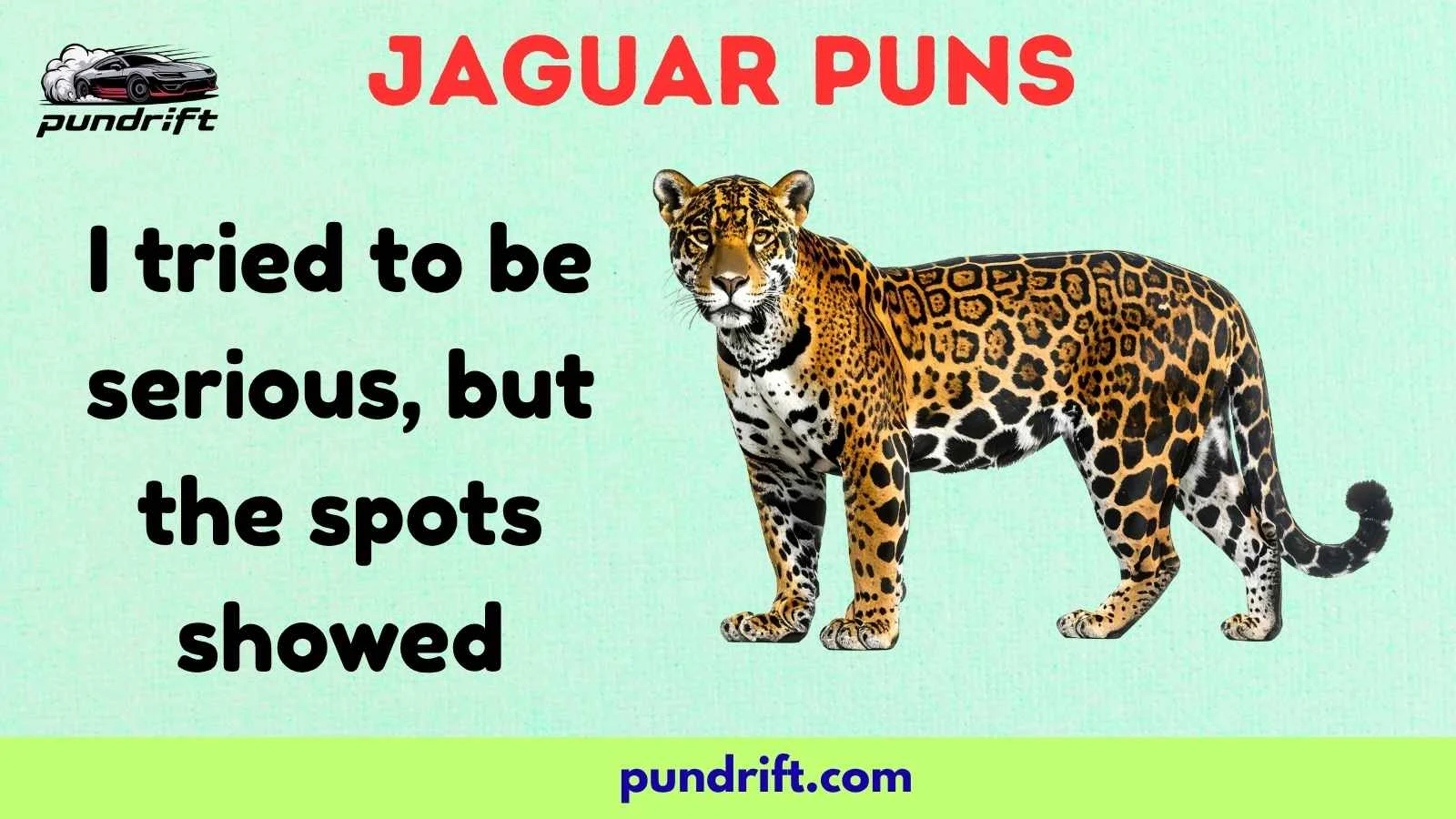 Jaguar Puns