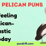 Pelican Puns