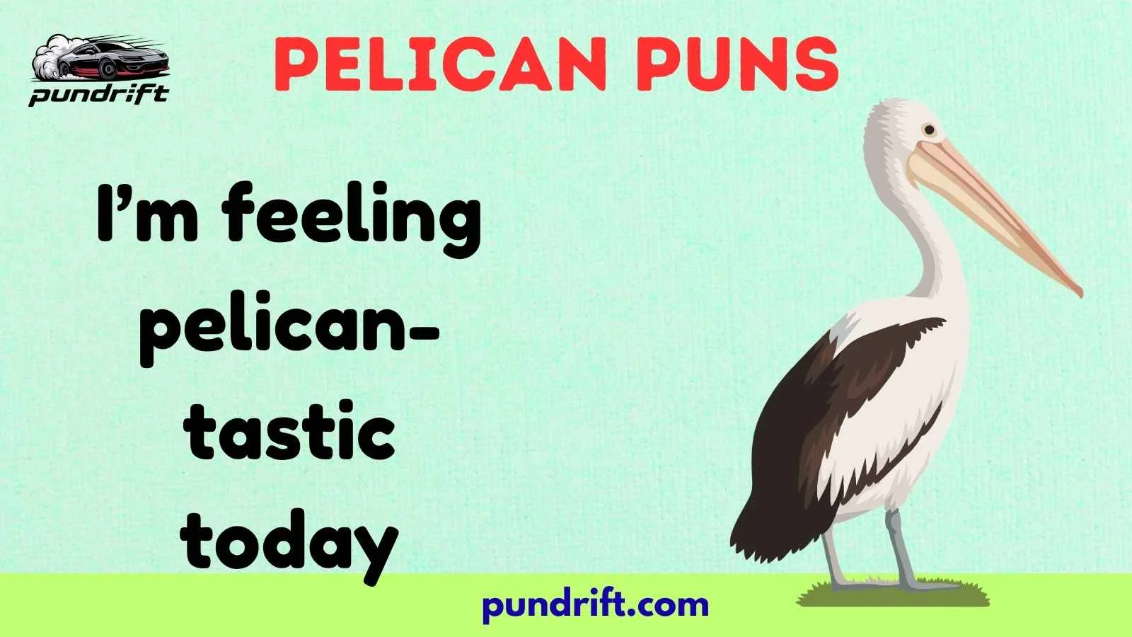 Pelican Puns