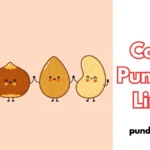 Candy Puns One Liners