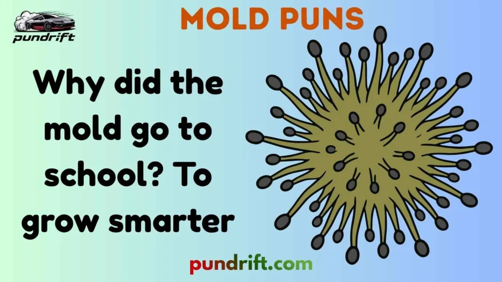 Clean Mold Dad Puns