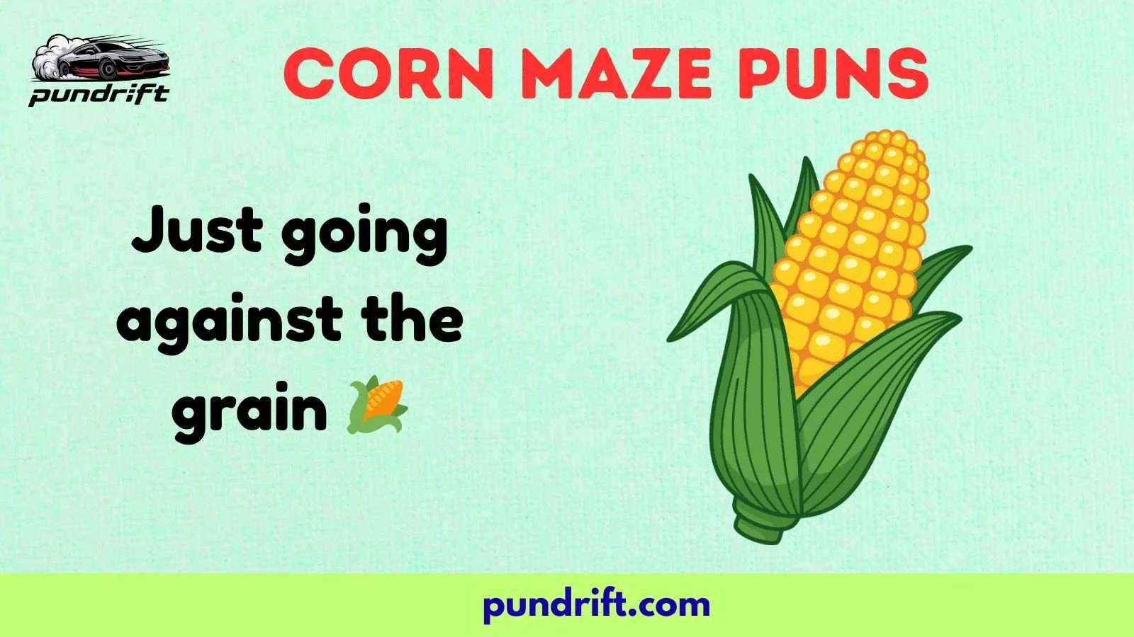 Corn Maze Puns