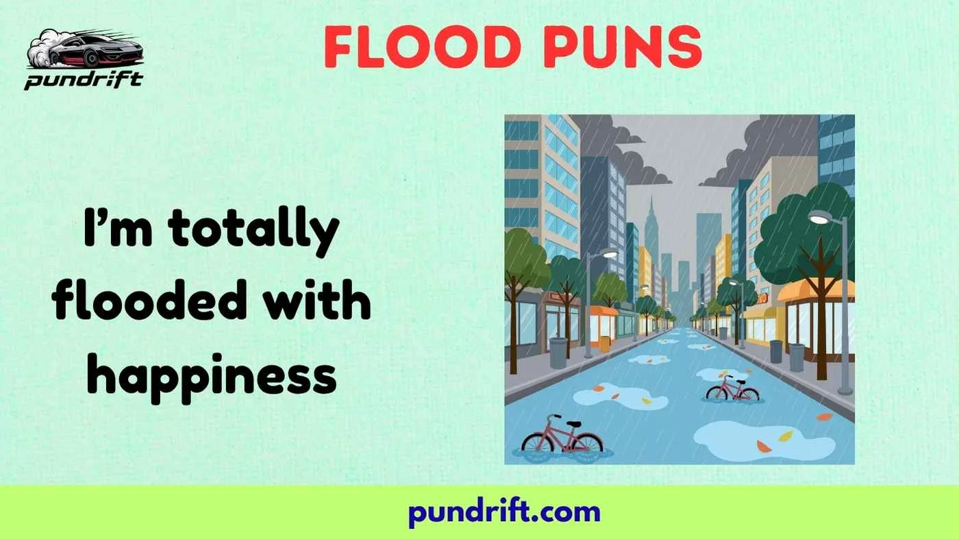 Flood Puns