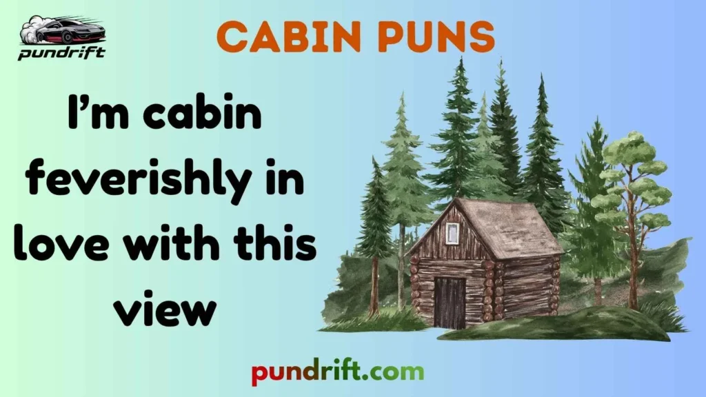 Funny Cabin Puns