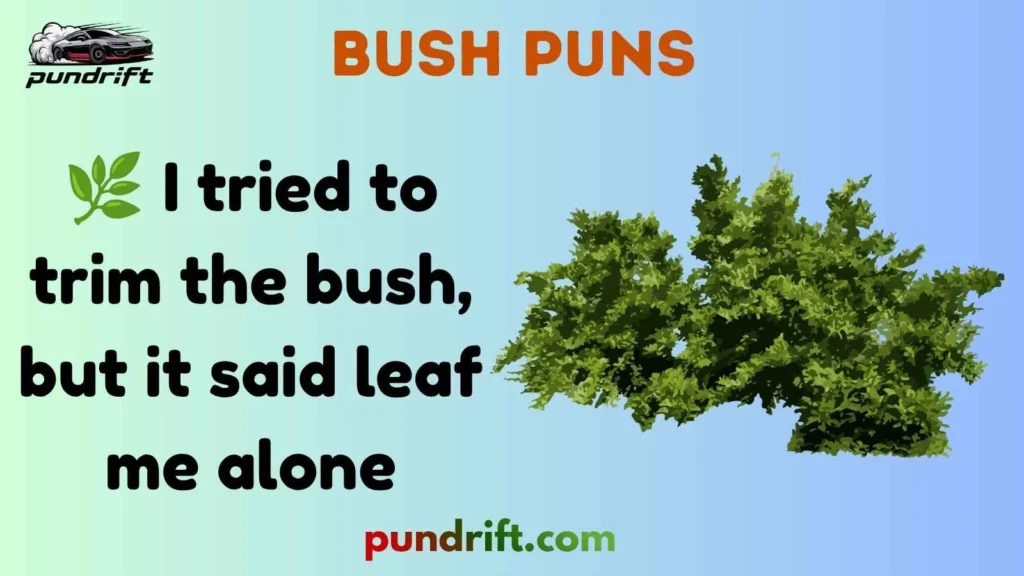 Short Bush Puns for Instagram