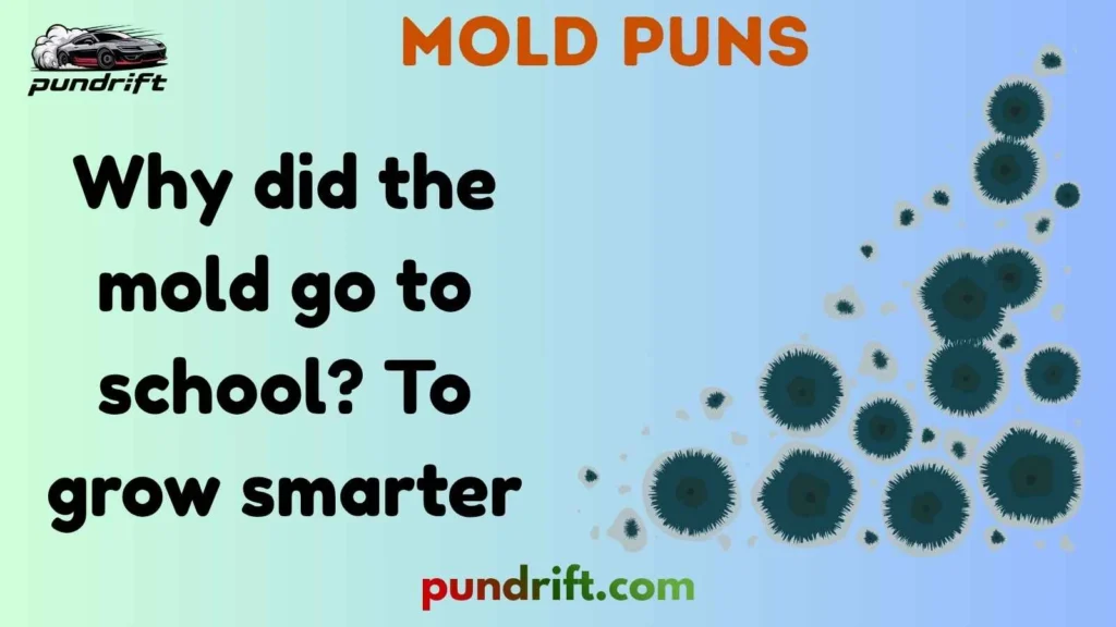 Short Mold Puns for Instagram