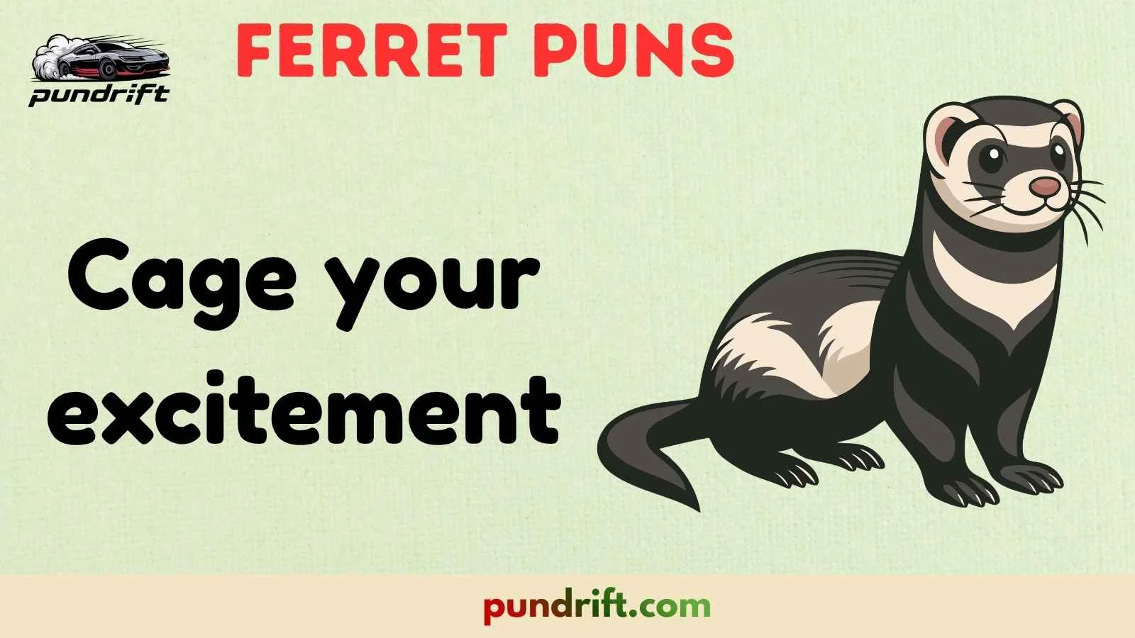 Ferret Puns