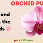 Orchid Puns
