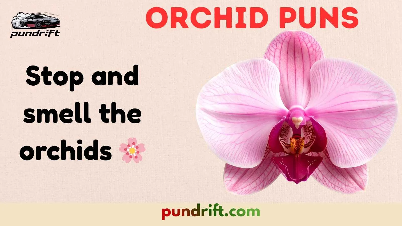 Orchid Puns