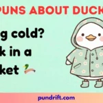 Puns About Ducks