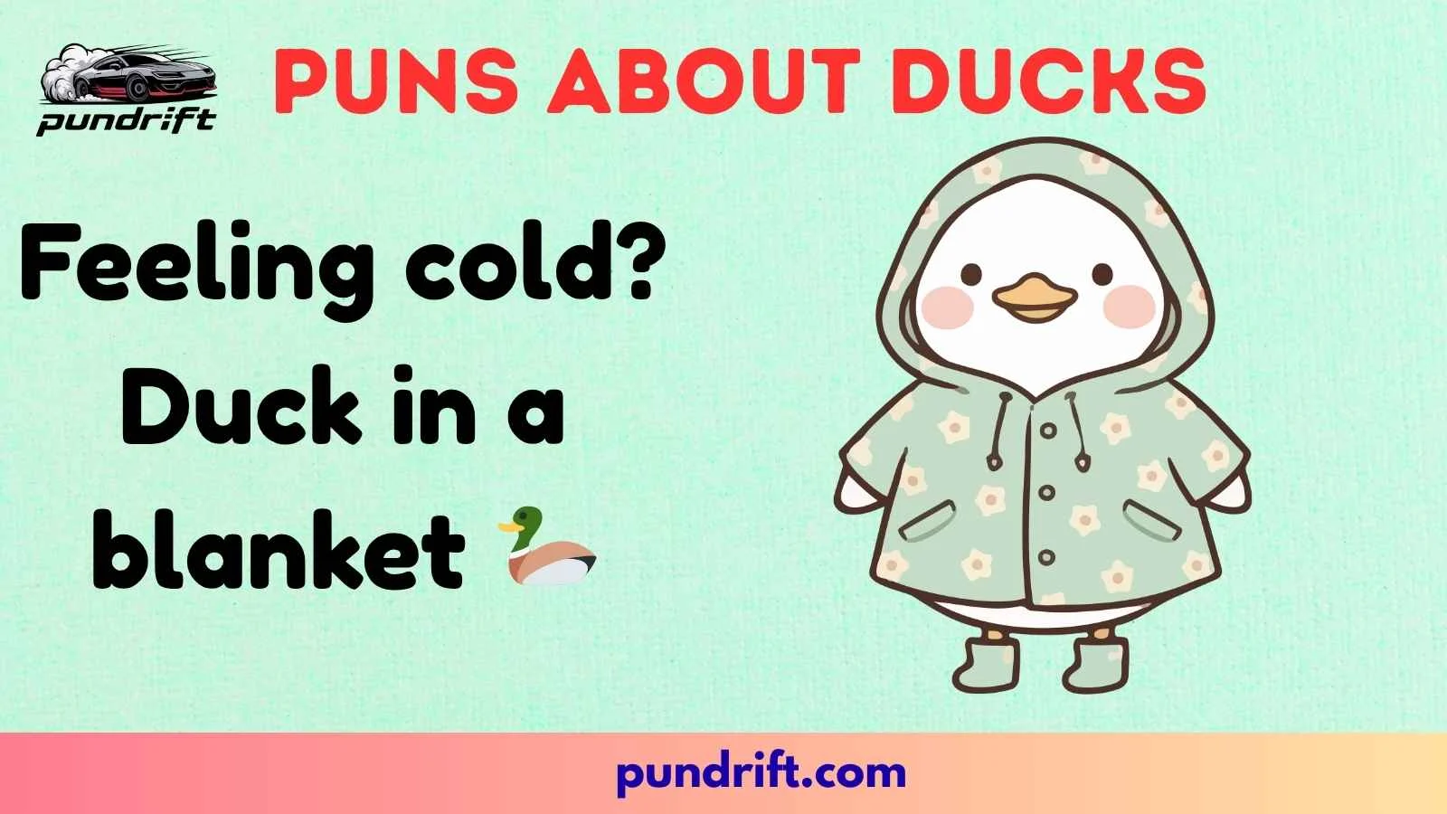 Puns About Ducks