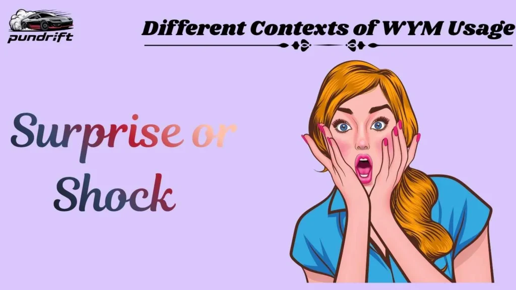 Different Contexts of WYM Usage