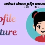 what does pfp mean in text