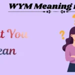 WYM Meaning in Text