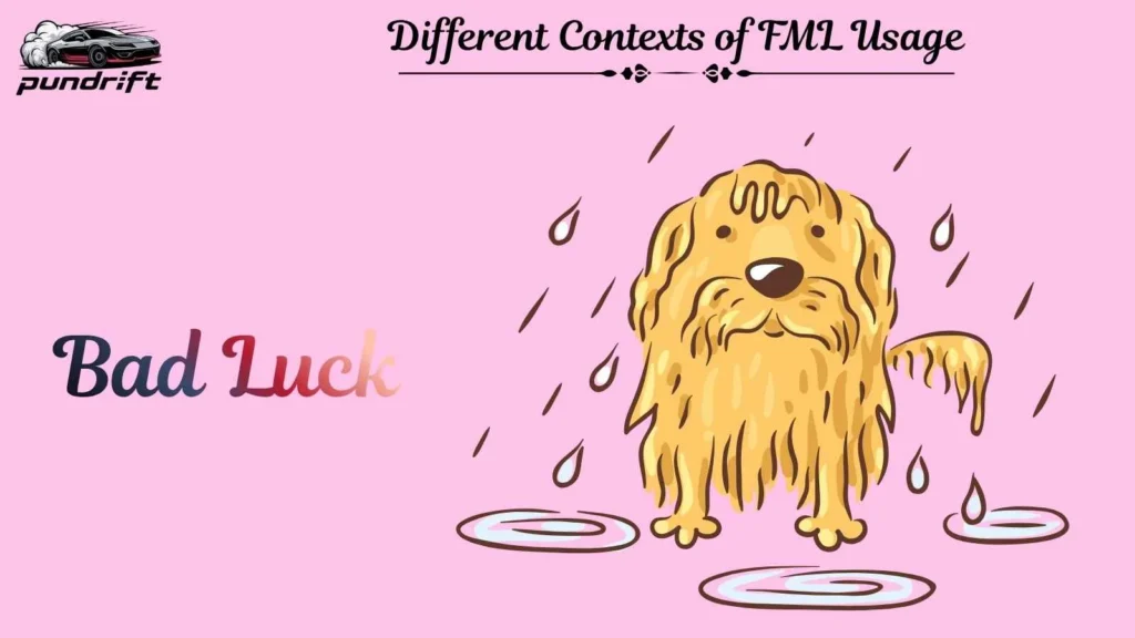 Different Contexts of FML Usage 