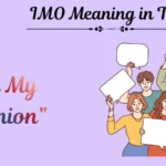 IMO Meaning in Text