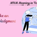 MHM Meaning in Text