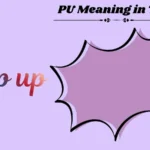 PU Meaning in Text