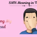 SMH Meaning in Text