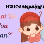 WDYM Meaning in Text