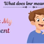 What does lmr mean in text