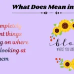 What Does Mean in Text