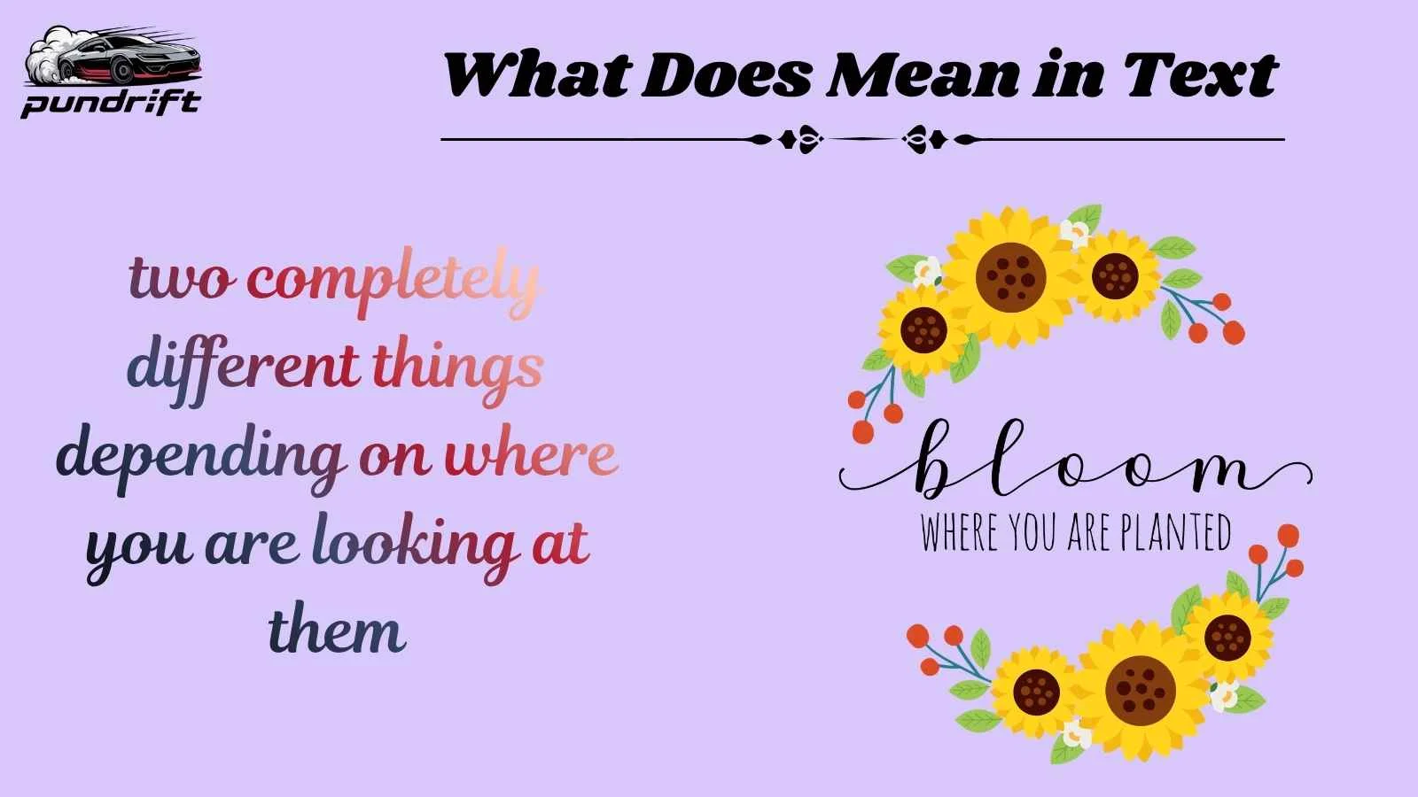 What Does Mean in Text