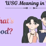 WSG Meaning in Text