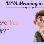 WYA Meaning in Text