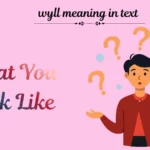 wyll meaning in text